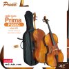 Cello PRIMA P200C size 4/4 , Top Solid Fine Spruce , Back & Side Fine Maple