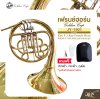 Golden Cup JY-1901 (Lacquer Finish) Key F 3 Key French Horn