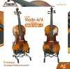ไวโอลิน 4/4 ไม้หน้าสปรูซแท้ ไม้หลังและข้างเมเปิลแท้ สี Antique Violin 4/4 FITNESS MV012W-1