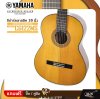 กีต้าร์คลาสสิค 39 นิ้ว ไม้หน้าแท้ ตัวเคลือบด้าน YAMAHA CG122MS Classical Guitar 39" (Top Solid Englemann Spruce) Matt Finish