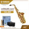 แซกโซโฟนอัลโต ยามาฮ่า Yamaha Alto Saxophone Intermediate Model YAS-480
