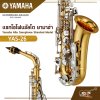 แซกโซโฟนอัลโต ยามาฮ่า Yamaha Alto Saxophone Standard Model YAS-26