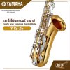 แซกโซโฟนเทเนอร์ ยามาฮ่า Yamaha Tenor Saxophone Standard Model YTS-26