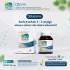 CEO Factory Multivitamin Plus (Capsule 24g) แบบแคปซูล ซีอีโอ แฟคตอรี่ มัลติวิตามินพลัส 40 แคปซูล