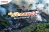 PrayforAmazonia - วิกฤตไฟป่าครั้งใหญ่เผาไหม้ปอดของโลก