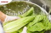 เครื่องล้างผัก โอโซน วิธีล้างผักอย่างไรให้ปลอดภัยแก่การบริโภค เครื่องล้างผัก โอโซน วิธีล้างผักอย่างไรให้ปลอดภัยแก่การบริโภค