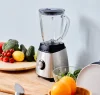 Fruit juice blender and mixer