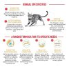 Royal Canin Bengal Adult