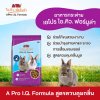 A Pro I.Q. Formula อาหารกระต่าย 1kg.
