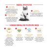 Royal Canin Ragdoll Adult