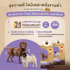 SmartHeart Gold Sterilized 3kg.