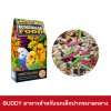BUDDY อาหารนกธัญพืช ขนาด 1.5lbs.