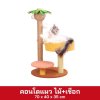 คอนโดแมว 43
