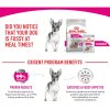 Royal Canin Mini Exigent