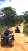 WILDACTION Samui ATV Private Trip