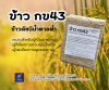ข้าว กข43 ข้าวกล้องพรีเมี่ยม ตรา ๙พญา  (RD43 Rice - Kaopaya Brand)