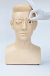 O005 หุ่นสาธิตการฝึกผ่าตัดตากุ้งยิง (Hordeolum) / Incision and Curettage Simulator