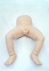 P019 หุ่นฝึกการตรวจโรคข้อสะโพกเคลื่อนหลุด ทารก 4 - 8 สัปดาห์  Baby Hip Dislocation Model