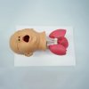 P016 หุ่นฝึกการใส่ท่อช่วยหายใจทารก  / Baby Airway Intubation Model