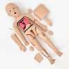 P033 หุ่นฝึกการพยาบาลเด็ก 3 ขวบ /  Child 3 Year Care Manikin