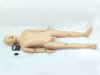 A011 หุ่นฝึกการใส่ท่อช่วยหายใจผู้ใหญ่และการทำ CPR  (เต็มตัว)  Airway Intubation And CPR Trainning Model