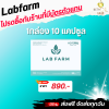 แลปฟาร์ม LAB FARM