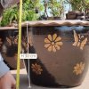 Nine-Petal Flower with Flying Butterfly