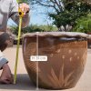 Special-pattern Flowerpot – “Fish of Prosperity”
