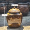 Ong M1 – Dragon of Wealth EditionTriple Rich