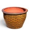 Special pattern plant pot