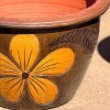 Special pattern plant pot