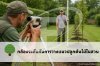 กล้องระดับกับการวางแนวปลูกต้นไม้ในสวน