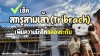 เช็คสกรูสามเส้า (Tribrach) เพิ่มความนิ่งให้กล้องระดับ