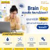 Brain Fog: สมองตื้อ คิดงานไม่ออก? คุณอาจไม่ได้ขี้เกียจ แต่ร่างกายกำลังเผชิญภาวะ ‘สมองล้า’ Brain Fog: สมองตื้อ คิดงานไม่ออก? คุณอาจไม่ได้ขี้เกียจ แต่ร่างกายกำลังเผชิญภาวะ ‘สมองล้า’