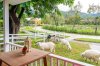 Authentic Farm Experience of Luxury Farm House Pai-Resort in Mae Hong Son