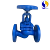 Globe Valve