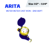 ARITA LXSC | Weter Meter Cast Iron Screwed End BSPT