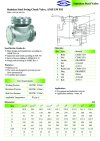 ARITA SSW-F204 Swing Check Valve - ANSI 150