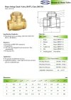 ARITA SWING CHECK VALVE (BSW-S200) - สวิงเช็ควาล์ว