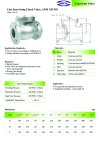 ARITA Swing Check Valve (ISW-F2) - สวิงเช็ควาล์ว ANSI 150