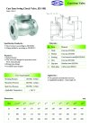 ARITA Swing Check Valve (ISW-F1) - สวิงเช็ควาล์ว JIS 10K