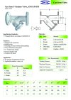 ARITA Cast Iron Y-Strainer (IYS-F2) - ANSI 150 PSI