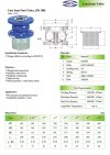 ARITA Cast Iron Foot Valve (IFT-F1) - JIS10K