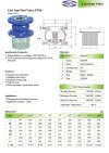 ARITA Cast Iron Foot Valve (IFT-F3) - PN16