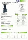 ARITA FGA Gate Valve Forged Steel Class 800PSI & 1500PSI