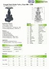 ARITA FGL Globe Valve Forged Steel Screw & Socket