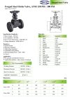ARITA FGL-F2 & F5 Globe Valve Forged Steel Flange ANSI