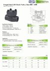 ARITA FLC-FSLC Lift Check Valve Forged Steel