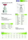 ARITA SGA Gate Valve Stainless Steel - BSPT