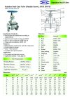ARITA SGA Gate Valve Stainless Steel - ANSI 150 PSI